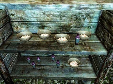 Skyrim:The Raid .